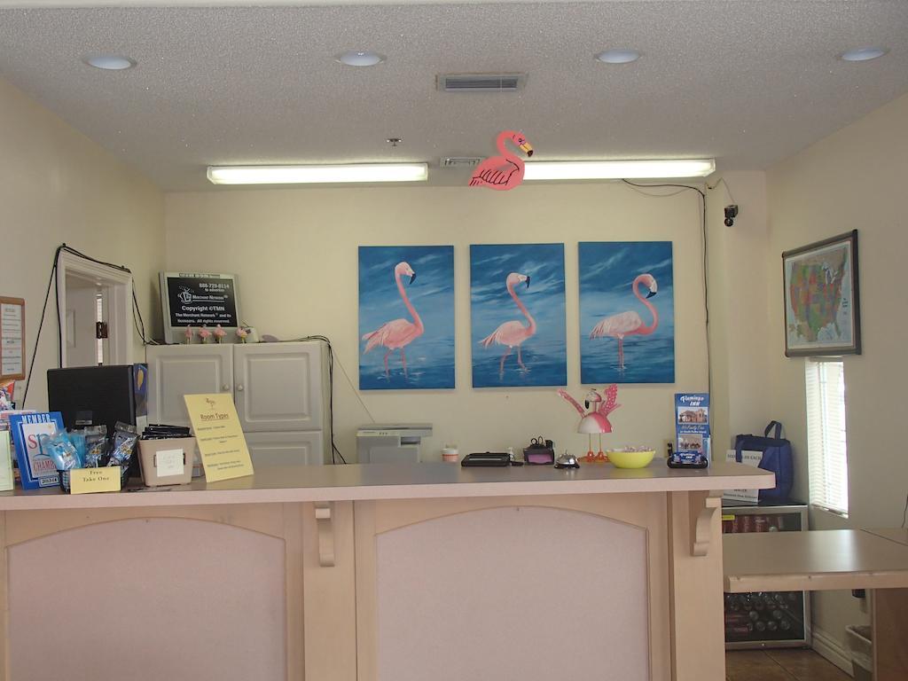 Flamingo Inn South Padre Island Exterior foto